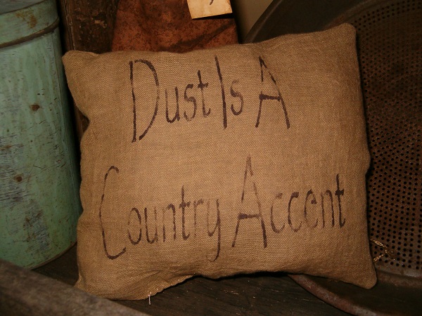 dust is a country accent pillow