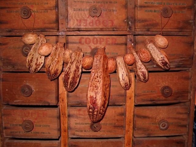 mahogany pod garland