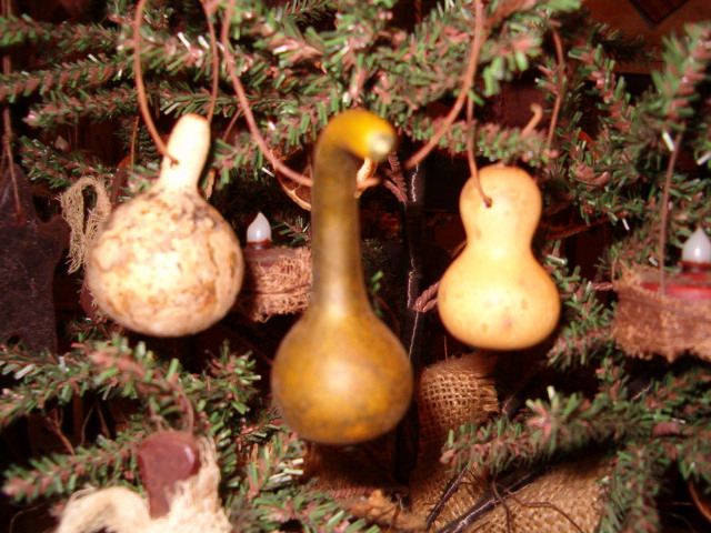 set of three mini gourd ornies