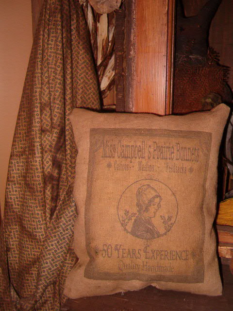 Miss Campbell's Prairie Bonnets pillow