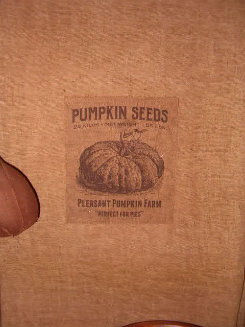 pumpkin seeds towel