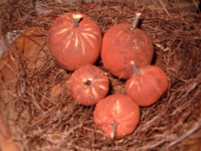 set of 5 small pumpkin bowl fillers