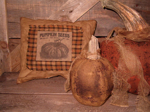 Pumpkin seeds patch pillow