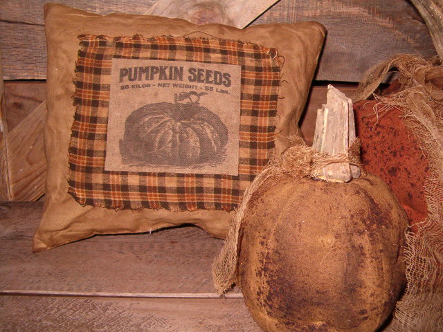 Pumpkin seeds patch pillow