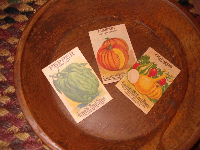 Everitts seed packet items
