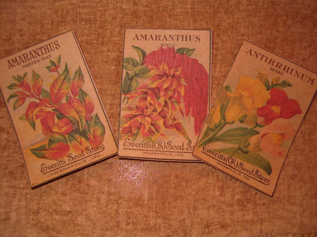 Flower seed packets