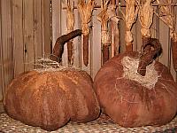 large rusty pumpkins