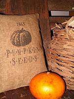 pumpkin seeds pillow