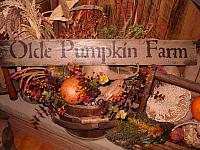 olde pumpkin farm sign