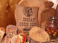 Indian corn seed pillow