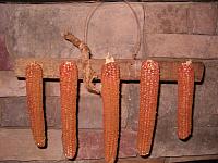 grungy 5 corn cobb hanger