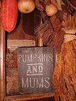 pumpkins and mums sign