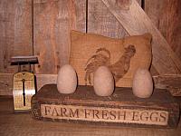 Farm fresh eggs holder