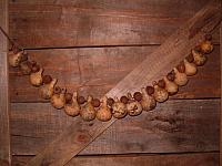 Jewelry gourd cellar apple garland
