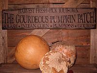 Gourdeous pumpkin patch curved wording sign
