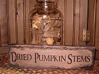 Dried pumpkin stems shelf sitter